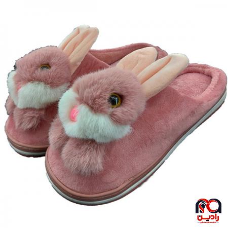 دلیل استقبال کشور عراق از دمپایی ایران  